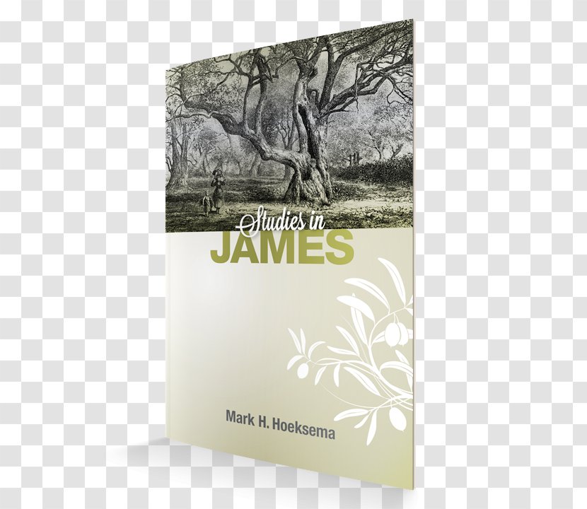 James, Studies In James Acts, Hebrews Bible - Frame - Study Supplies Transparent PNG
