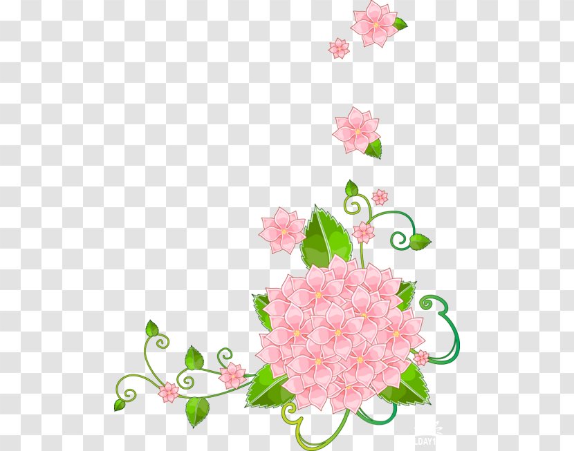 Clip Art Floral Design Flower Image - Picture Frames Transparent PNG