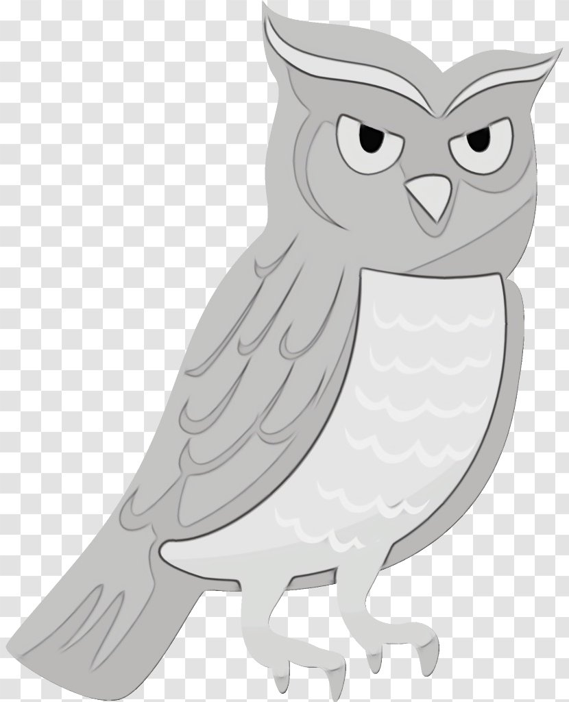 Owl White Bird Of Prey Cartoon - Wet Ink - Snowy Screech Transparent PNG