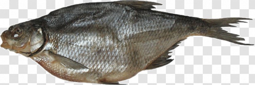 Smoked Fish Common Bream Food Drying Roach Transparent PNG