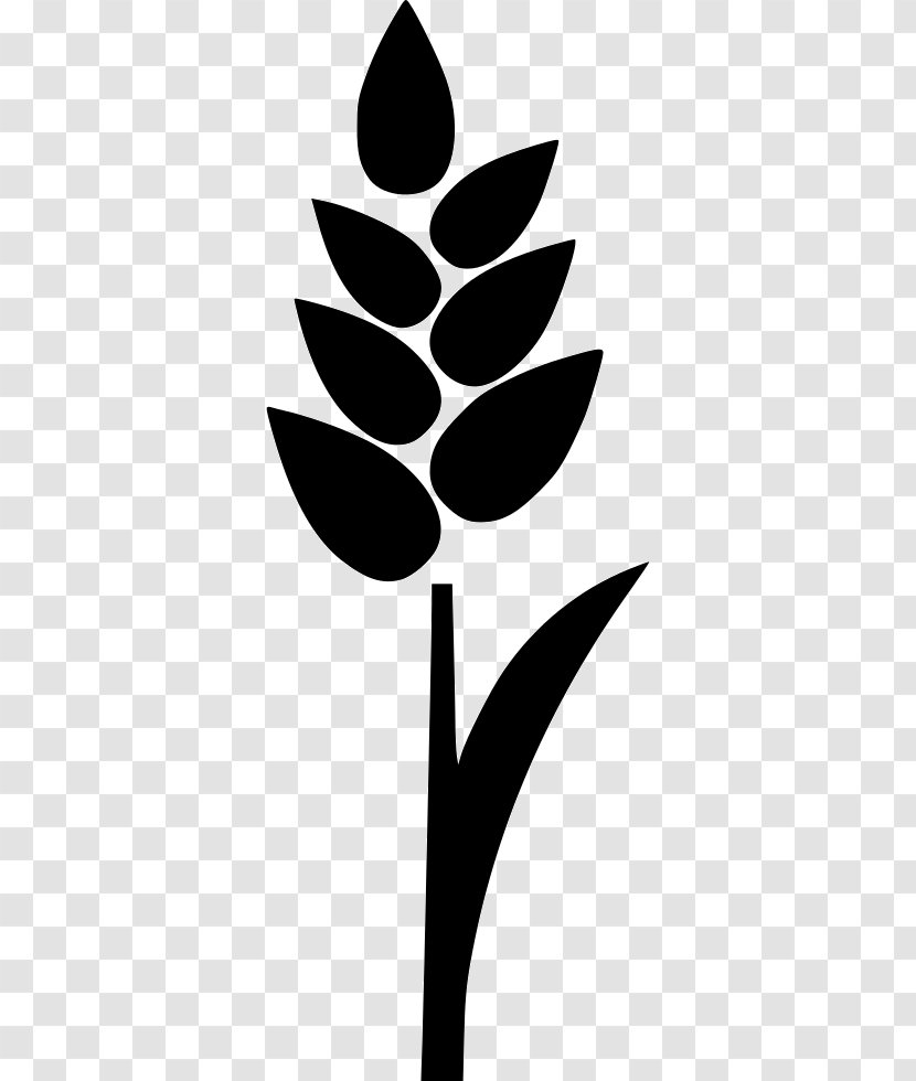 Rice Cereal Wheat Clip Art - Millet Transparent PNG