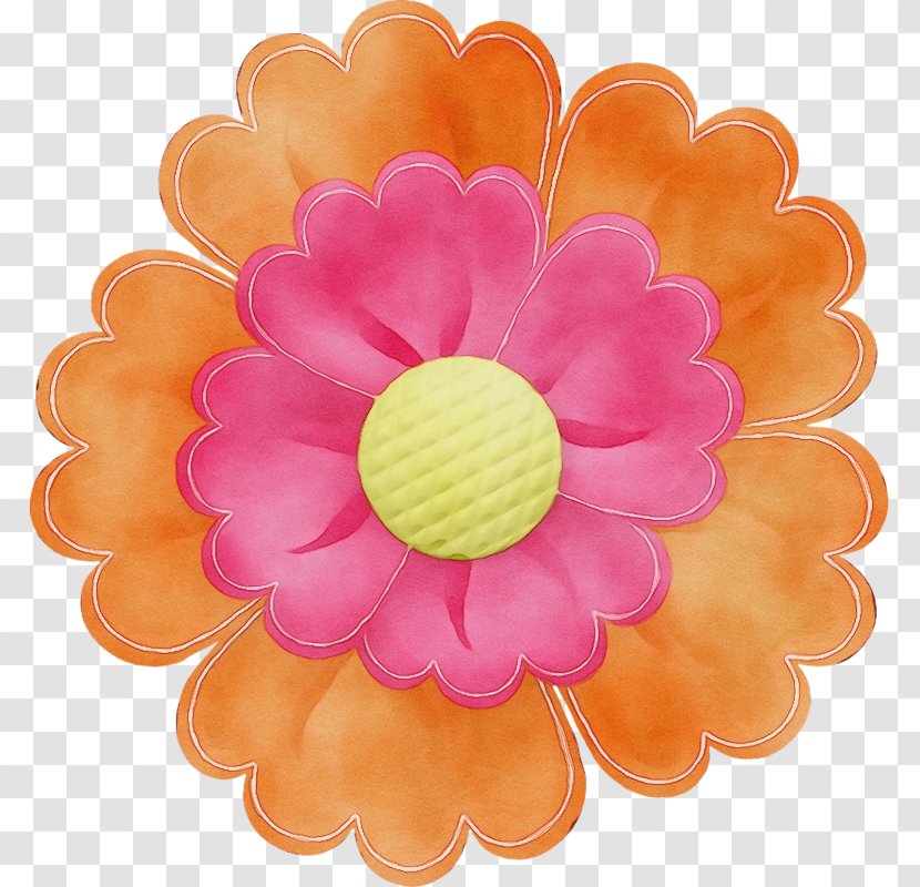 Chocolate - Yellow - Plant Gerbera Transparent PNG