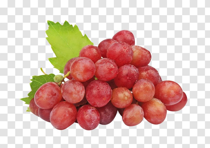 Common Grape Vine Concord Sultana Wine - Seed Extract - Juicy Grapes Transparent PNG