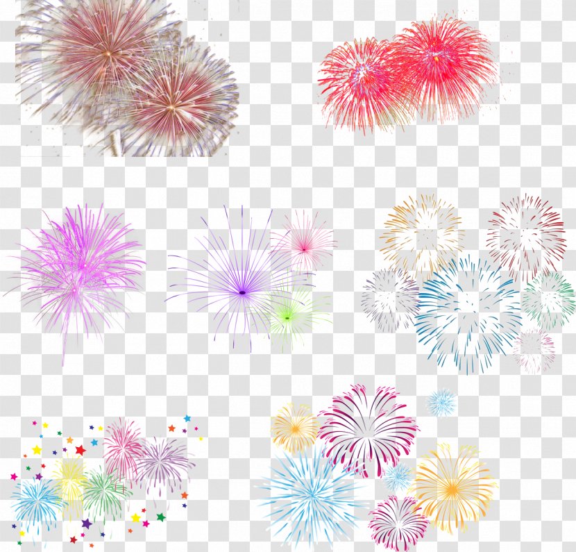 Fireworks Icon - Flower - All Kinds Of Transparent PNG