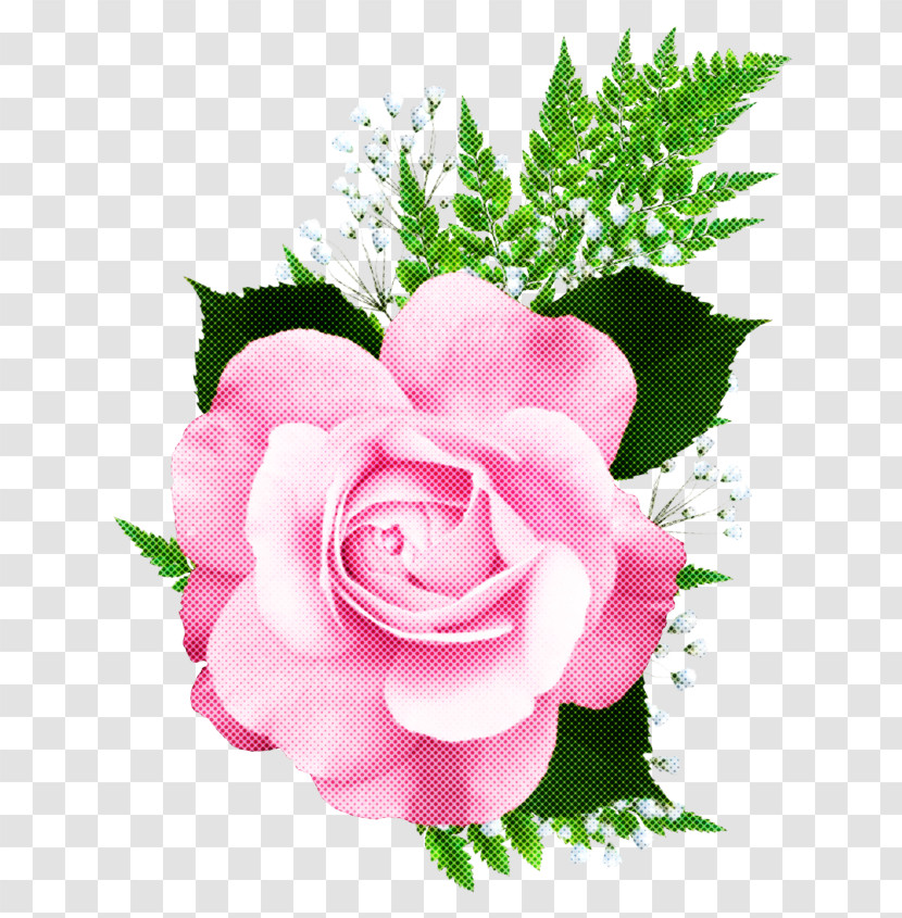 Garden Roses Transparent PNG