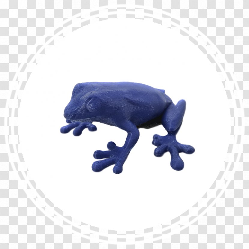 3D Printing Printer Amphibian Frog - Liter - Watercolor Rabbit Transparent PNG