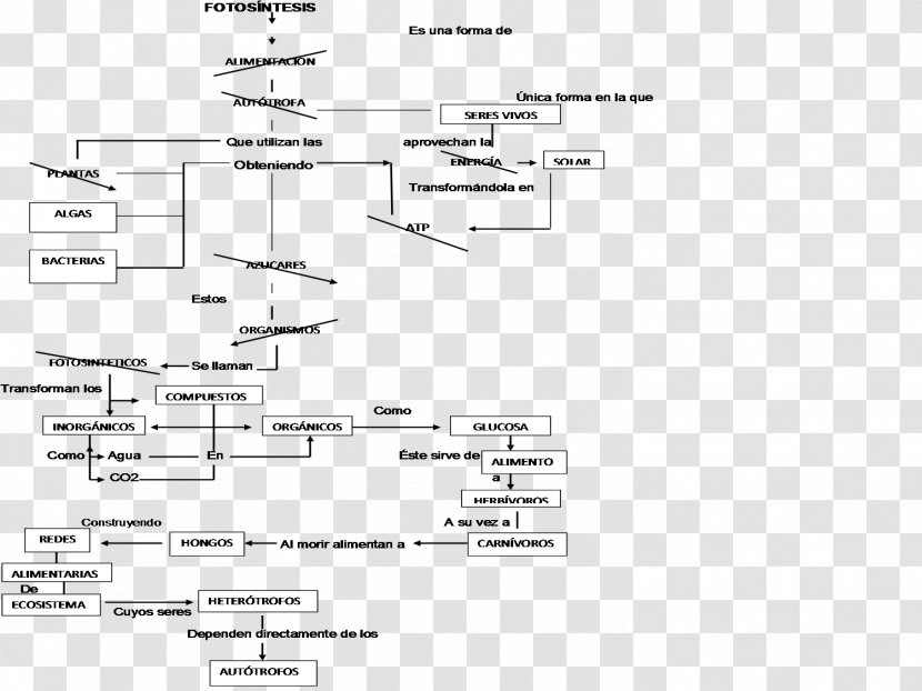 Carbon Cycle Concept Map Photosynthesis Autotroph - Heart - Import Transparent PNG