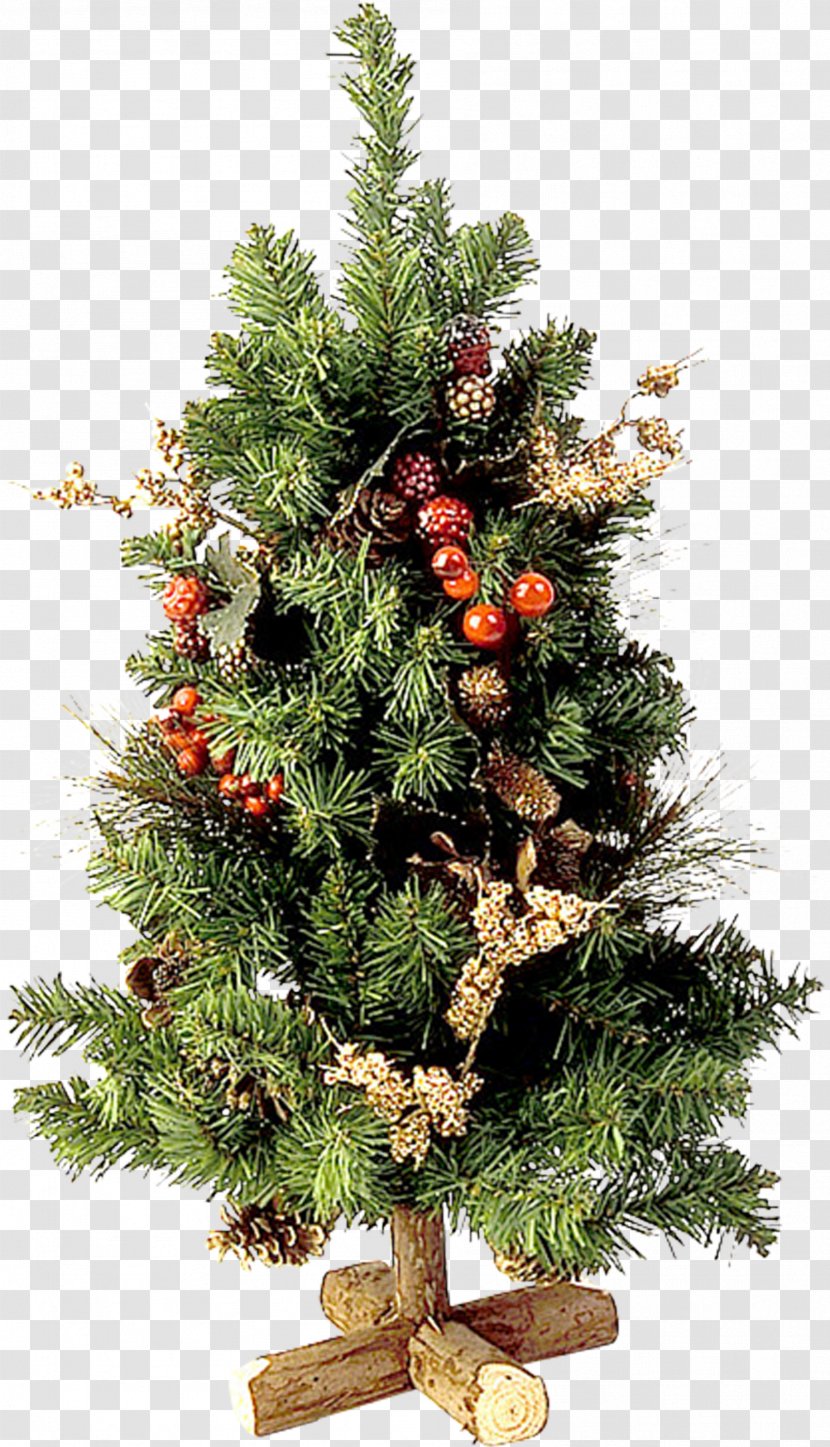 Christmas Tree Fir Ornament - Pine Transparent PNG
