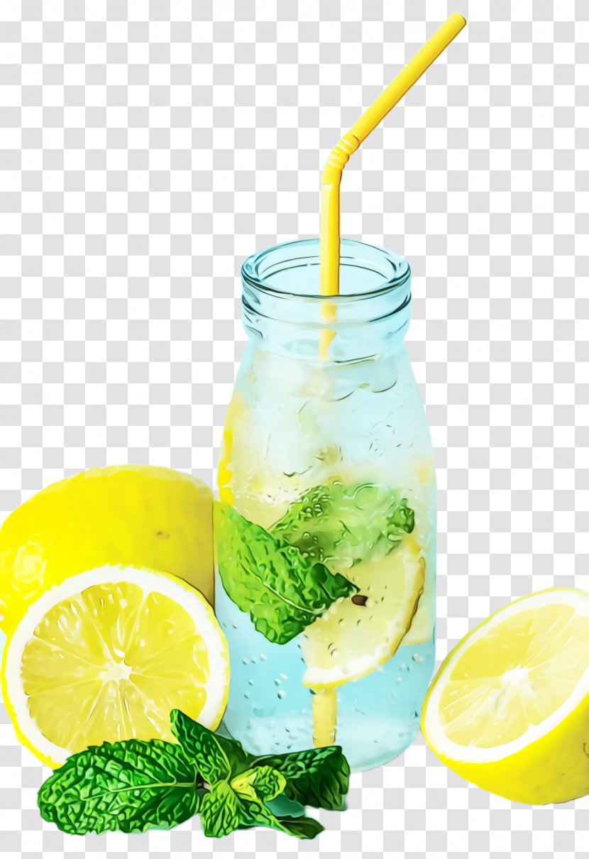 Mojito - Lime - Limeade Transparent PNG