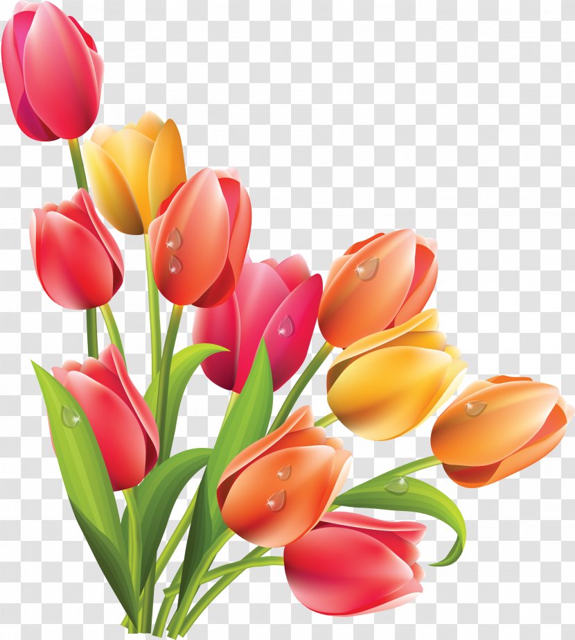 Easter Bunny Lily Flower Clip Art - Cut Flowers - Frangipani Transparent PNG