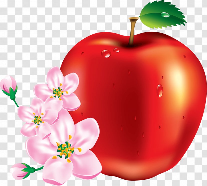 Apple Fruit Clip Art - Painting - Red Image Transparent PNG