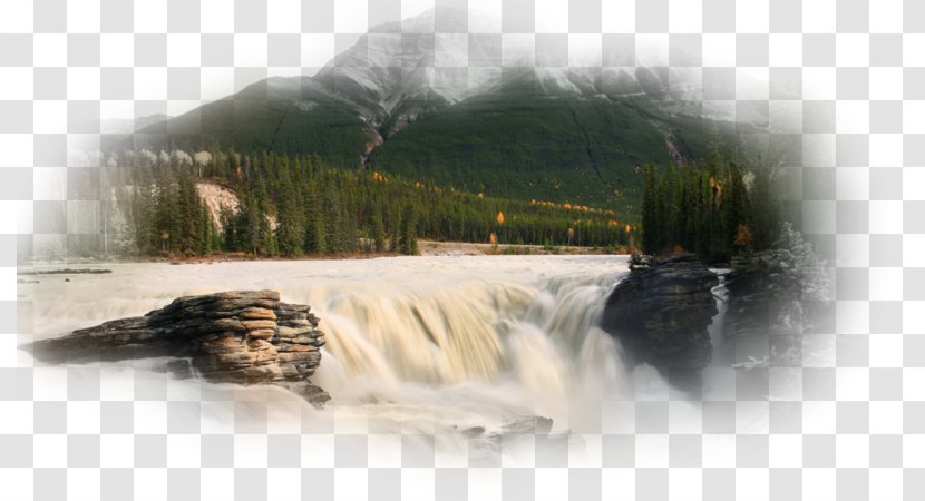 Waterfall Desktop Wallpaper Metaphor High-definition Television - Tree - Highdefinition Transparent PNG