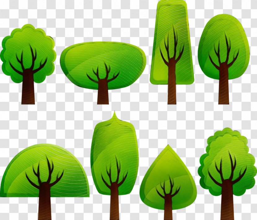 Green Leaf Watercolor - Plant Stem - Arbor Day Transparent PNG