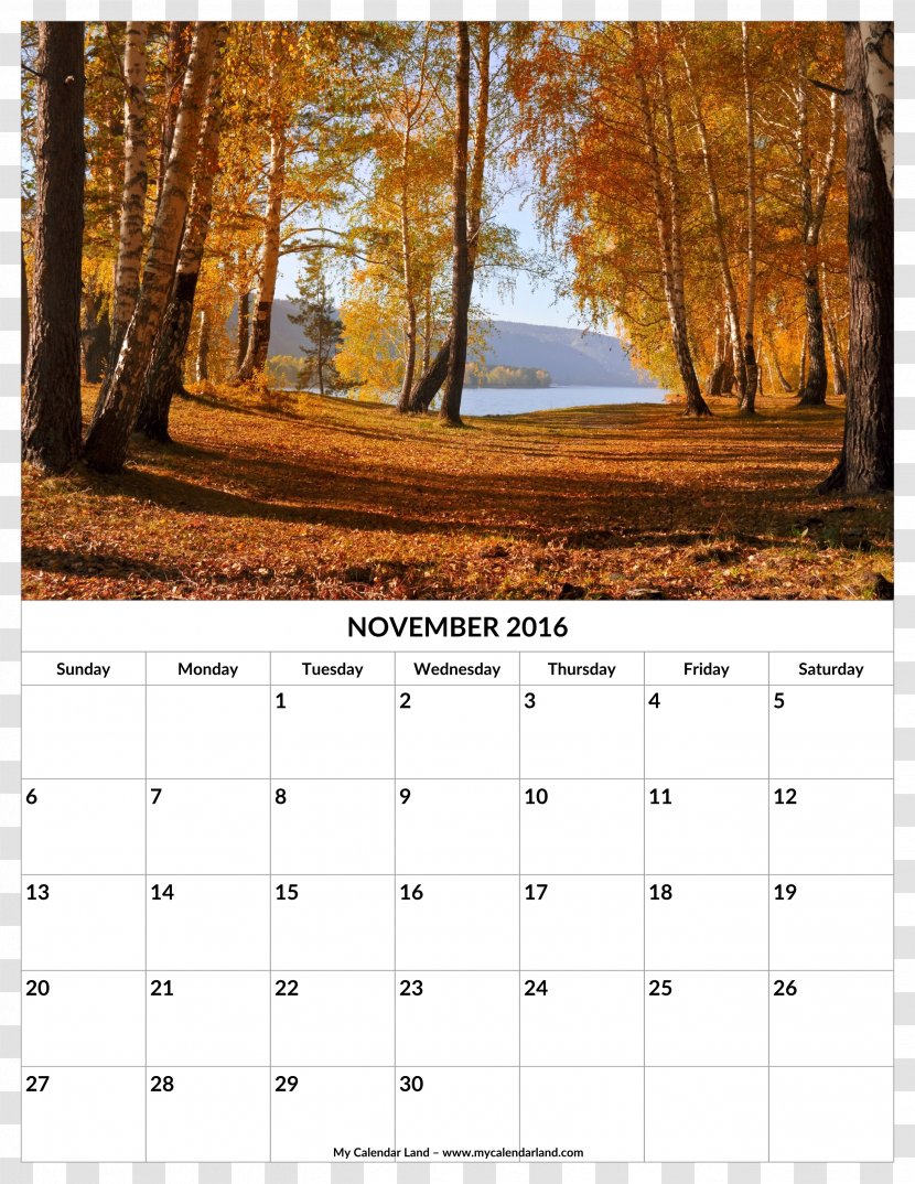 Forest Autumn Tree Desktop Wallpaper - Leaf Color - November Calendar Transparent PNG