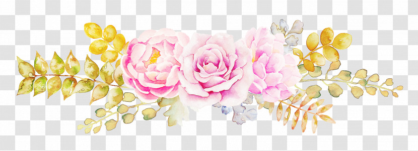 Floral Design Transparent PNG