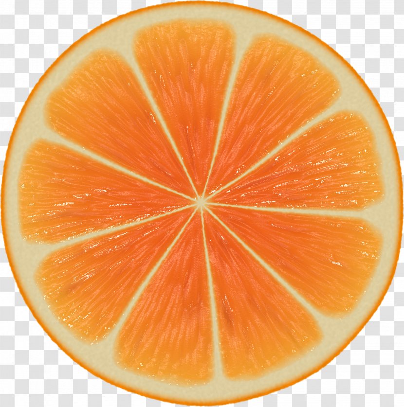 Orange Slice Mathematics Symmetry Patterns In Nature - Grapefruit - Image Download Transparent PNG