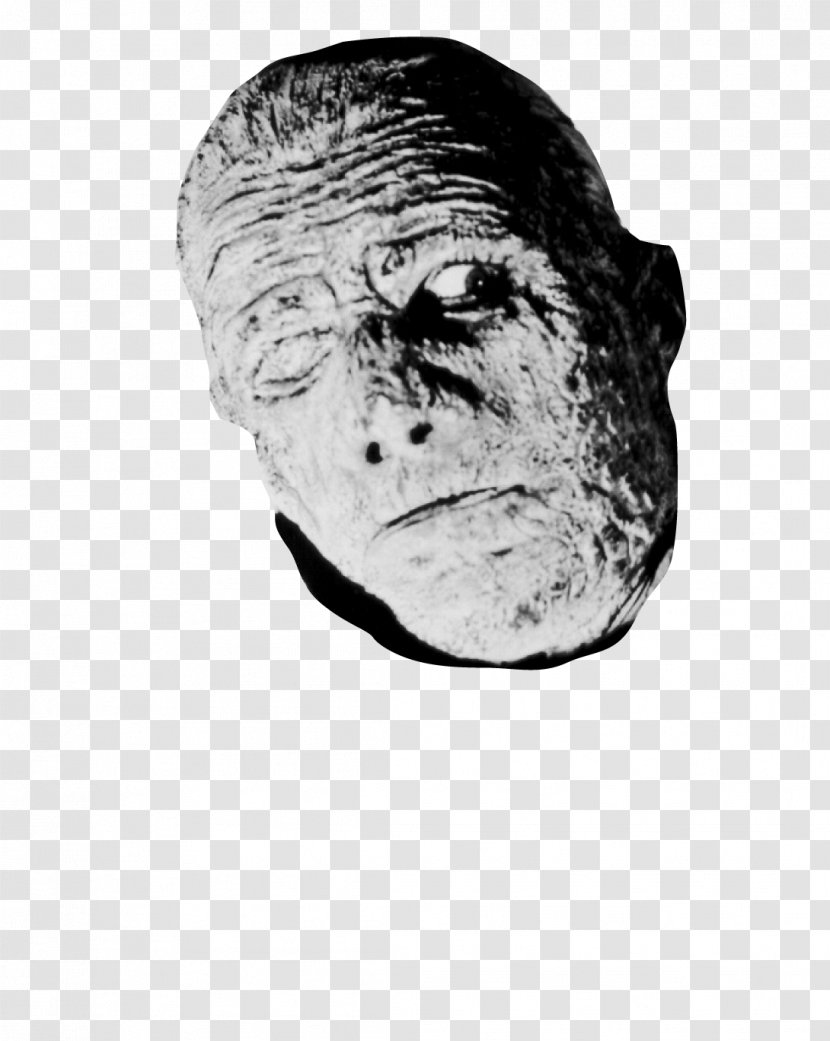 Universal Monsters Frankenstein YouTube Horror - Mummy Tomb Of The Dragon Emperor - Monster Transparent PNG