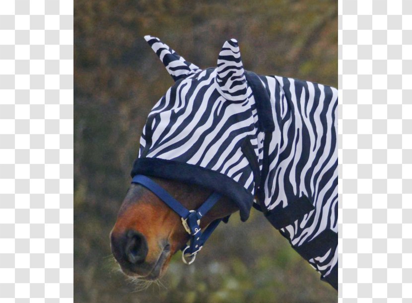 Horse Blanket Pony Equestrian Zebra - Mammal Transparent PNG