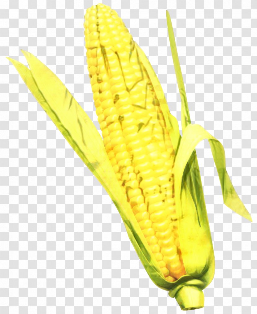 Corn On The Cob Kernel Fruit - Vegetable Transparent PNG