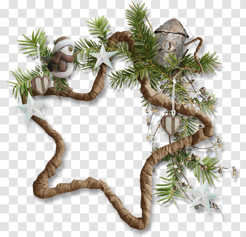 Fir Christmas Ornament Pine Houseplant Transparent PNG