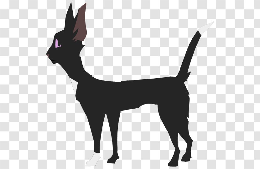 Whiskers Dog Breed Cat Warriors Transparent PNG