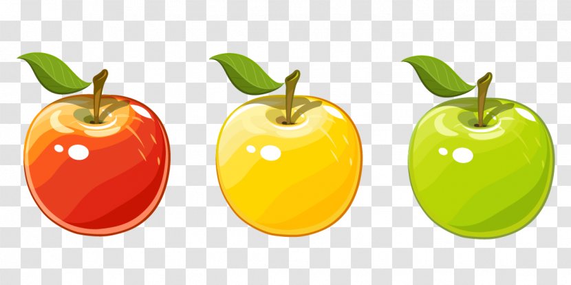 Apple Clip Art - Fruit - Red Yellow And Green Vector Material Transparent PNG