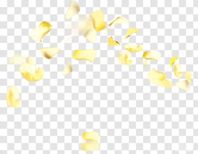 Corn Kernel Popcorn Maize - Yellow Transparent PNG