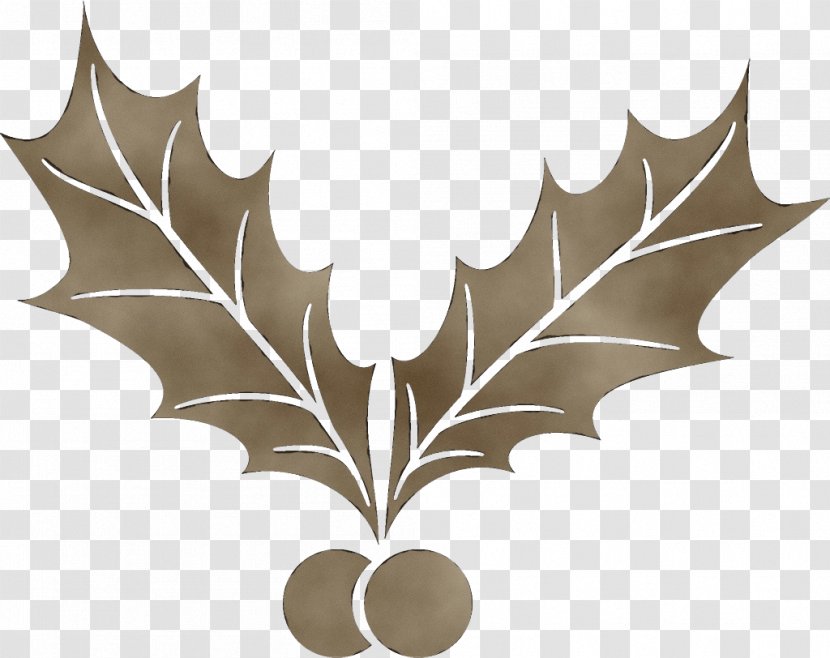 Holly - Plant - Blackandwhite Scarlet Oak Transparent PNG