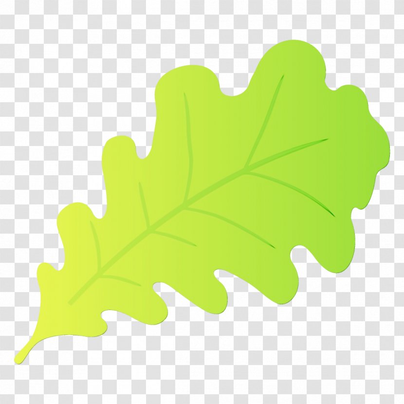 Plane - Grape Leaves - Flower Black Maple Transparent PNG