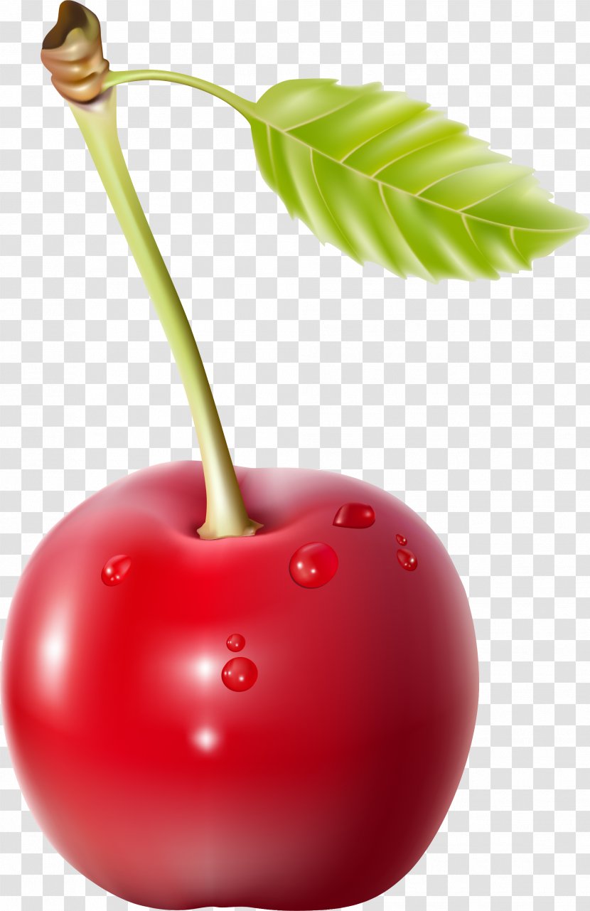 Cherry Pie Clip Art - Food - Hand Painted Red Leaves Transparent PNG