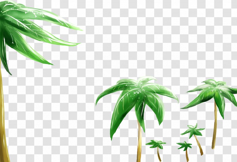 Beauty High-definition Television Display Resolution Wallpaper - Coconut Tree Transparent PNG