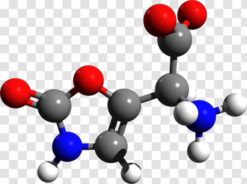 Ergometrine Ergoline Ergotamine Lysergic Acid Diethylamide Oxytocin - Mushrooms Transparent PNG