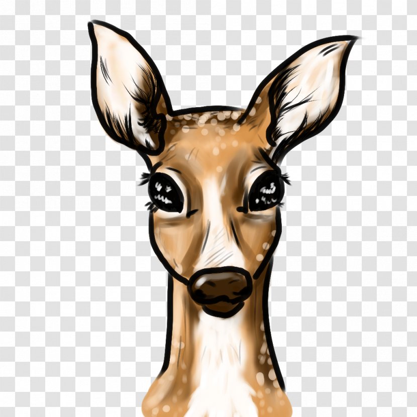 Deer Antelope Macropodidae Animal Giraffidae - Fawn Transparent PNG