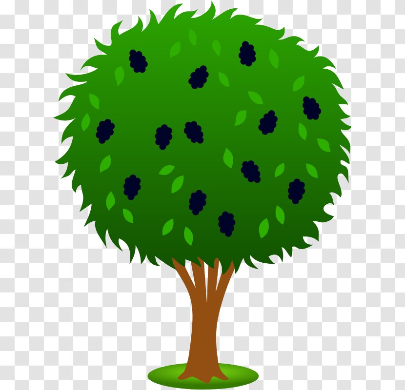 Clip Art Apple Image Tree Malus Sylvestris - Woody Plant Transparent PNG