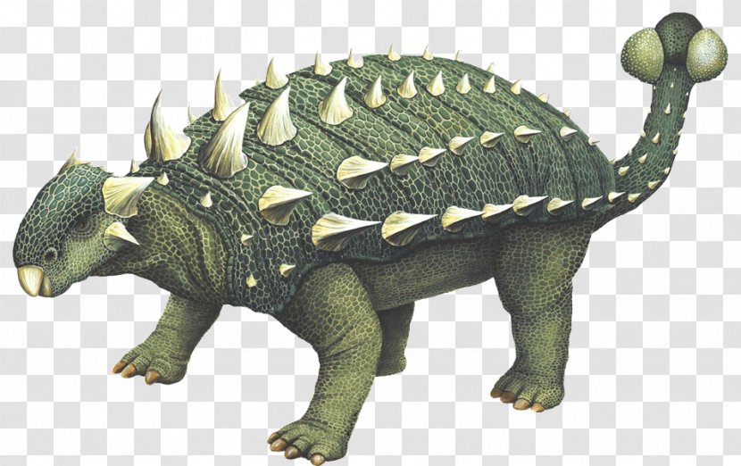 Euoplocephalus Stegosaurus Kentrosaurus Triceratops Ankylosaurus - Brachiosaurus - Dinosaur Transparent PNG