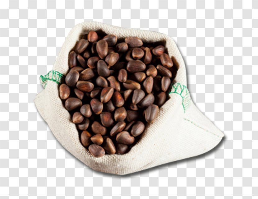 Pine Nut Nuts Nalewka Hazelnut - Ingredient - Coffee Sack Transparent PNG