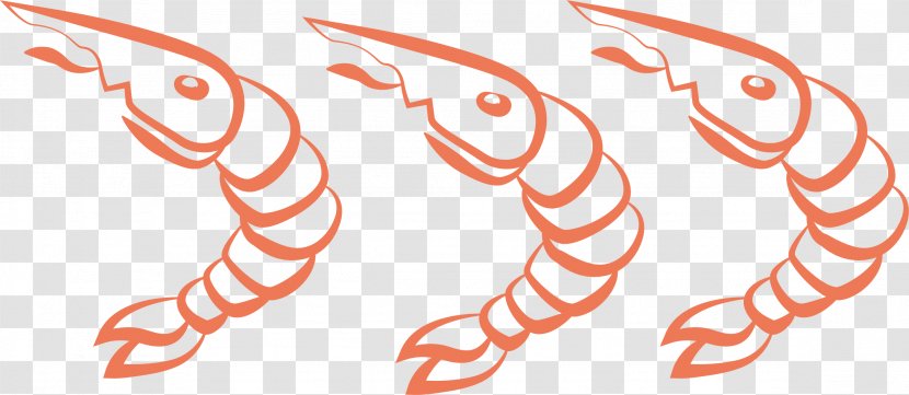 Caridea Shrimp - And Prawn As Food - A Row Of Frozen Transparent PNG