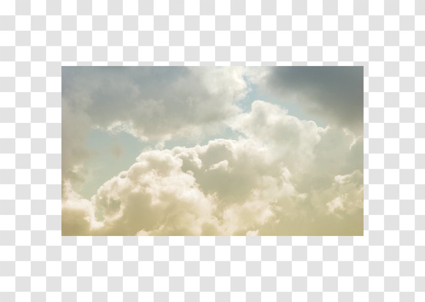 Desktop Wallpaper Cloud Forest Sky White - Meteorological Phenomenon Transparent PNG