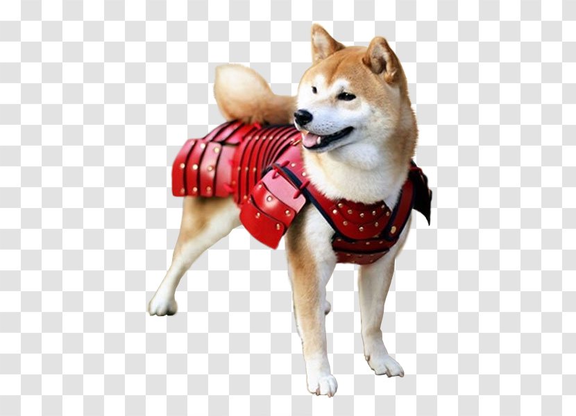 The Shiba Inu Samurai Cat Japanese Armour - Dog Breed Transparent PNG