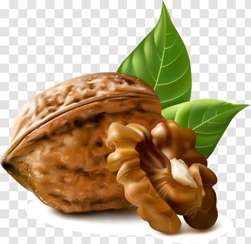 Walnut Stock Photography Royalty-free Illustration Transparent PNG