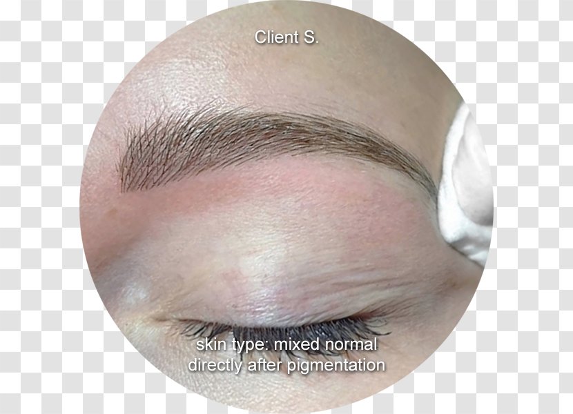 Face Couture - Close Up - Microblading Professionals Eyebrow Permanent Makeup Eyelash ExtensionsMicroblading Transparent PNG