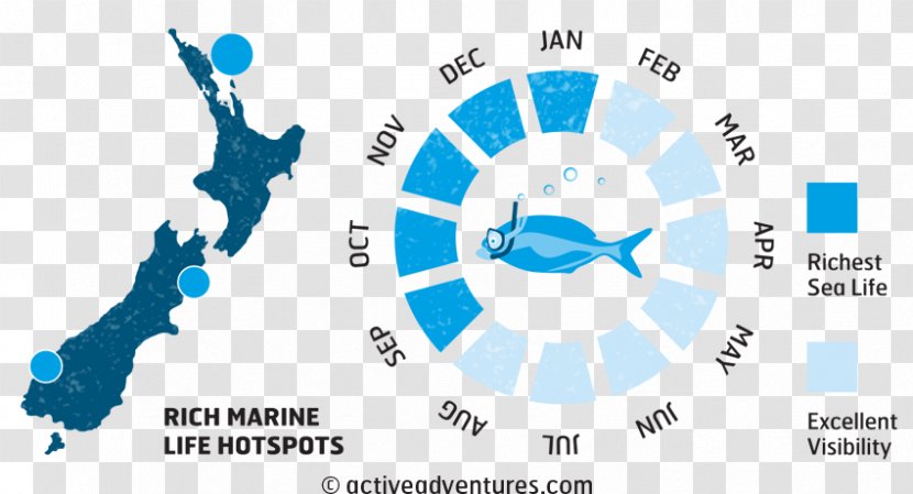 New Zealand Map Royalty-free - Vector - Marine Life Transparent PNG