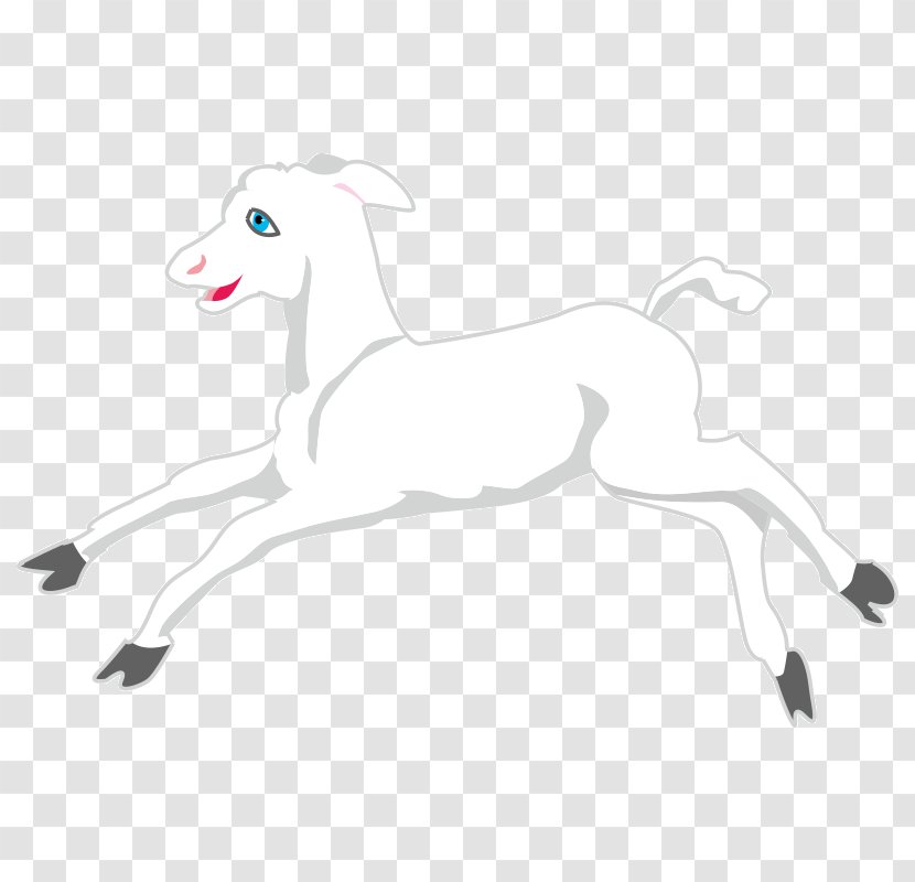 Cattle Mammal Horse Sheep Deer - Yonni Meyer - Lamb Shank Transparent PNG
