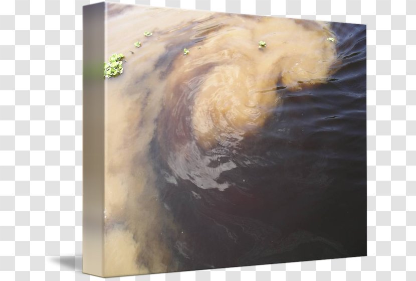 Painting Picture Frames Snout - Frame - Amazon River Transparent PNG