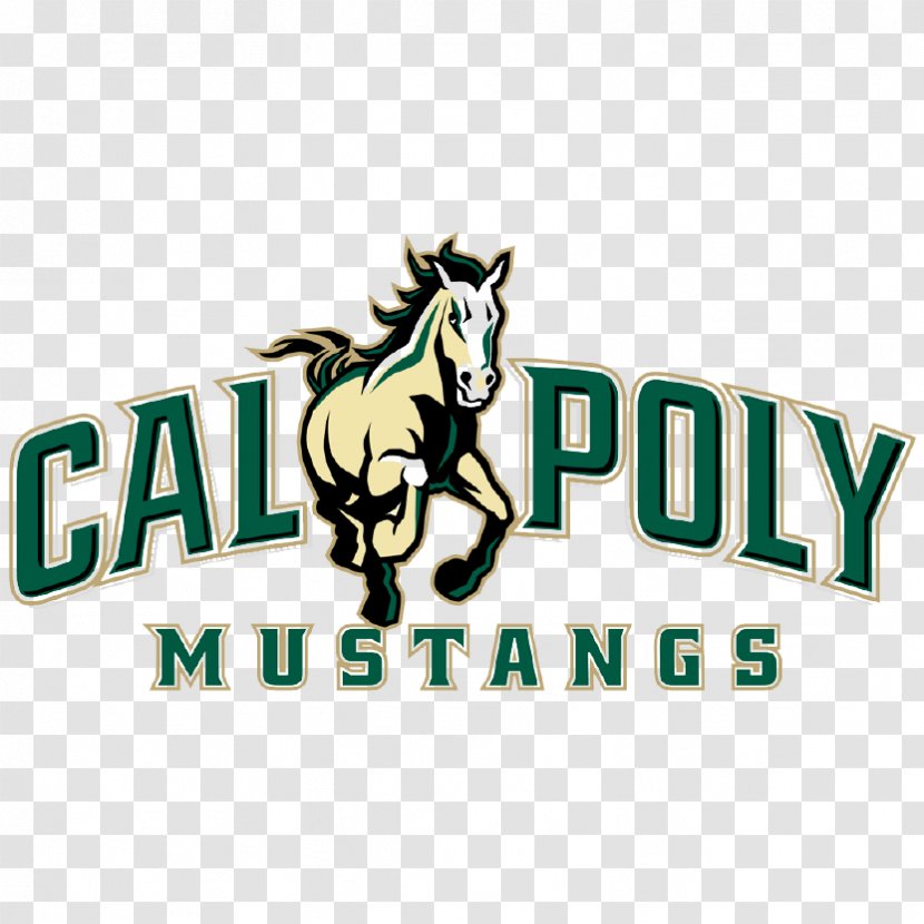 Cal Poly Mustangs Men's Basketball Baseball Women's Ticket Office San Luis Obispo College Of Architecture And Environmental Design - Public University Transparent PNG