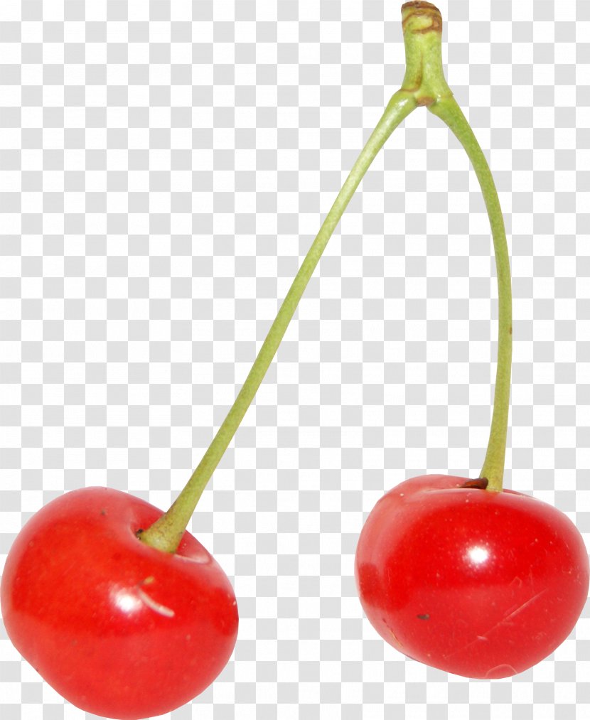 Cherry - Plant Transparent PNG