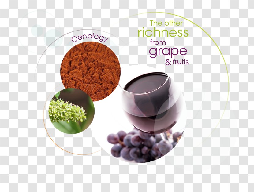 Superfood Flavor - Oenology Transparent PNG