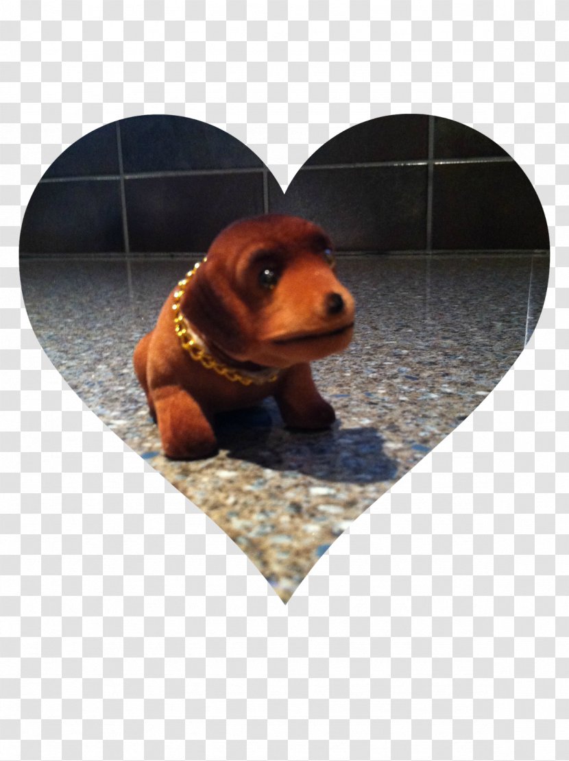 Puppy Dachshund Snout - Dog Transparent PNG