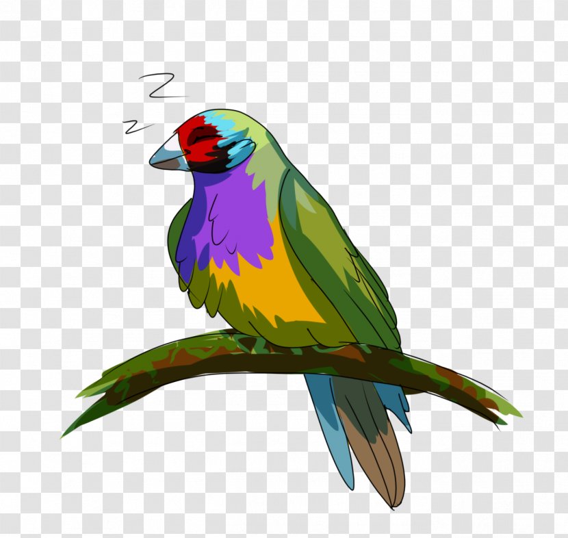 Bird Parrot - Beak - Budgie Wing Transparent PNG