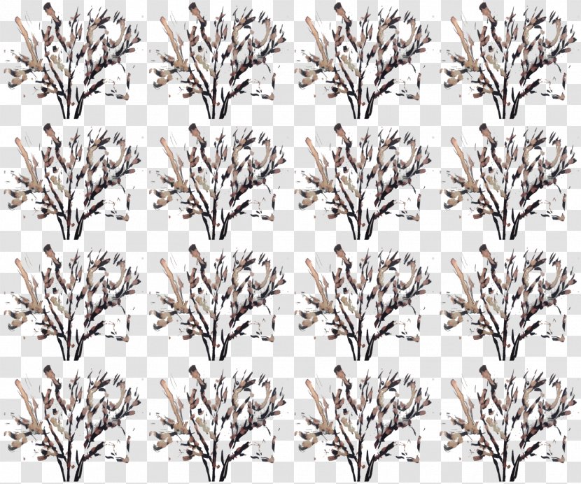Monochrome Photography Tree Plant - Blossom Transparent PNG